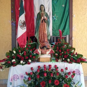 30. rosaura castro.jpg