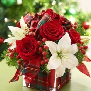 75bf13ca 260f 48eb 8127 99b6b8a9eba3.jpg