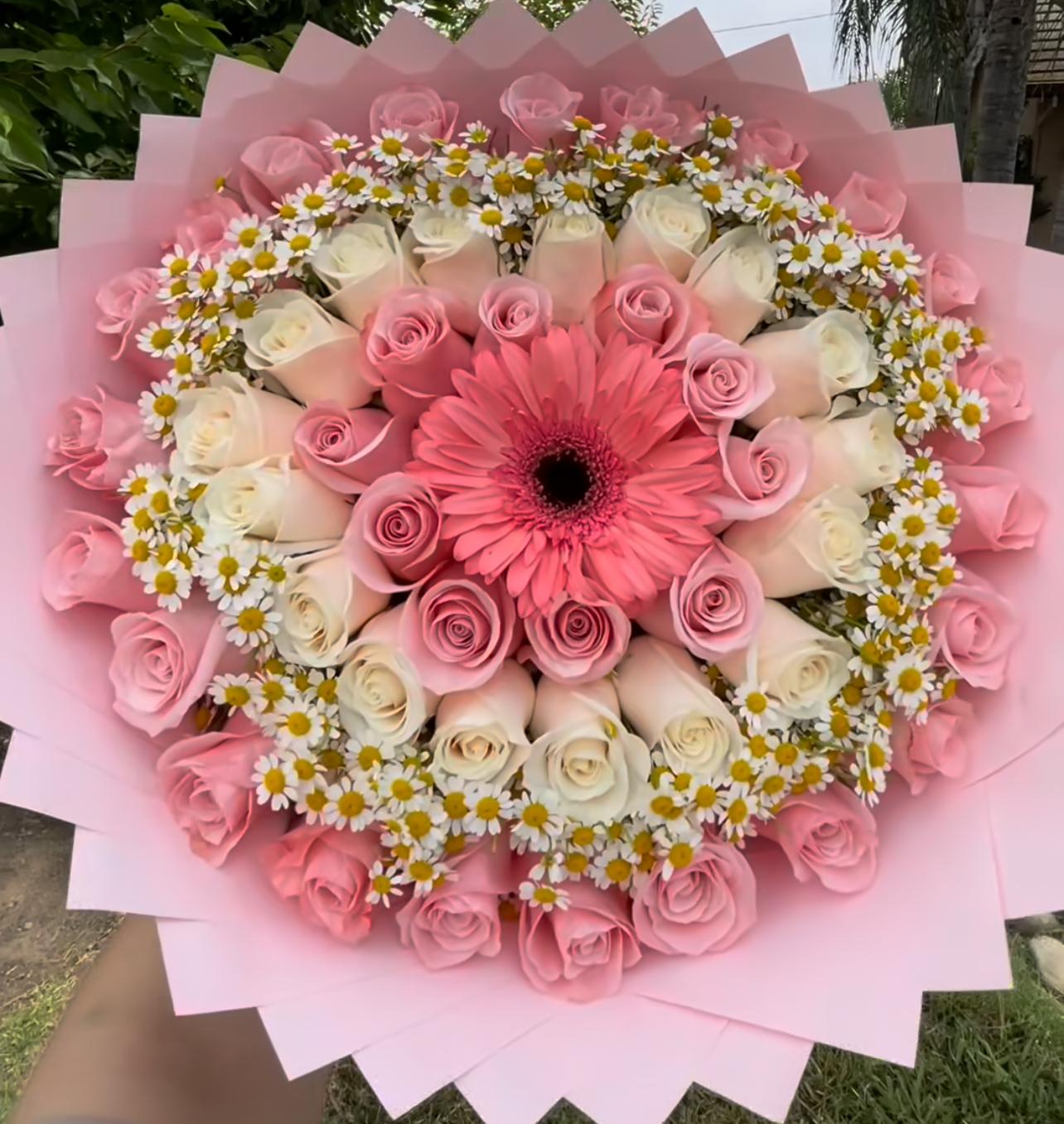 80 rosas rosasjpeg.jpeg 80 rosas rosasjpeg.jpeg