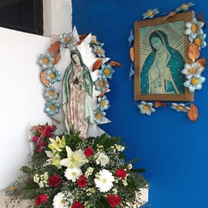 imagen de whatsapp 2023 12 12 a las 10.06.43 bcfe9cdf.jpg