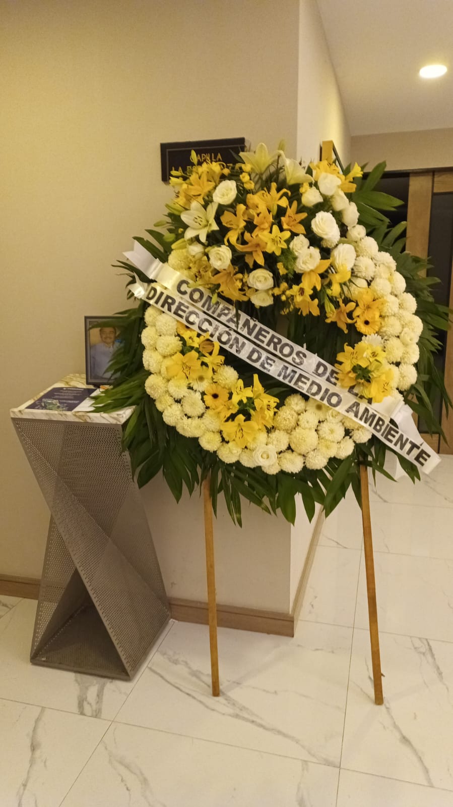 adb58e85 3598 40c8 933e c99b51884123.jpeg adb58e85 3598 40c8 933e c99b51884123.jpeg