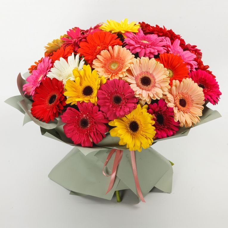 ramo de 48 gerberas.jpeg ramo de 48 gerberas.jpeg