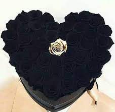 rosas negras 1 oro.jpg rosas negras 1 oro.jpg